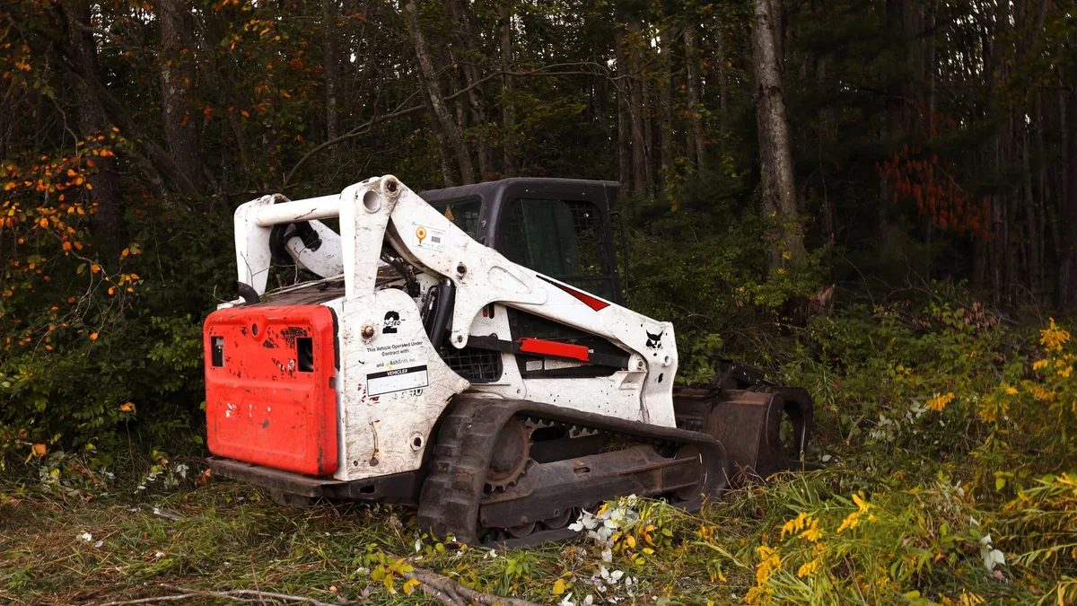 Brush and small trees being cleared from a lot in Carteret, NJ